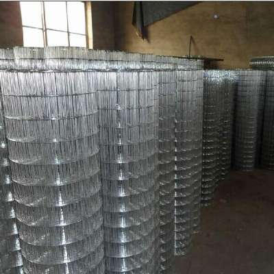 sanfan/Hot dipped galvanized welded wire mesh panels for making chicken cages