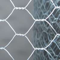 Chicken Wire /Hexagonal Wire Mesh