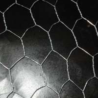 1'' 2'' Chicken Wire, Hexagonal Wire Netting, Chicken Wire Mesh