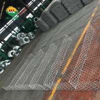 Manufactory supply reinforced soil gabion wall with 2.0-4.0 wire diameter